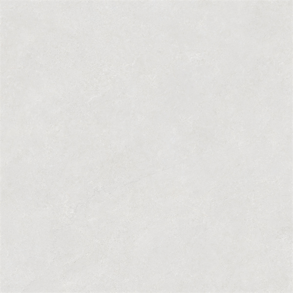 SW88101C
