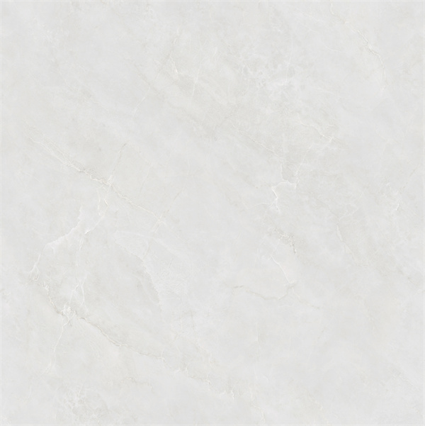 SW88103C